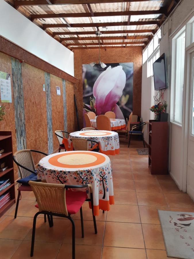 Hostal Magnolio Виня дел Мар Екстериор снимка